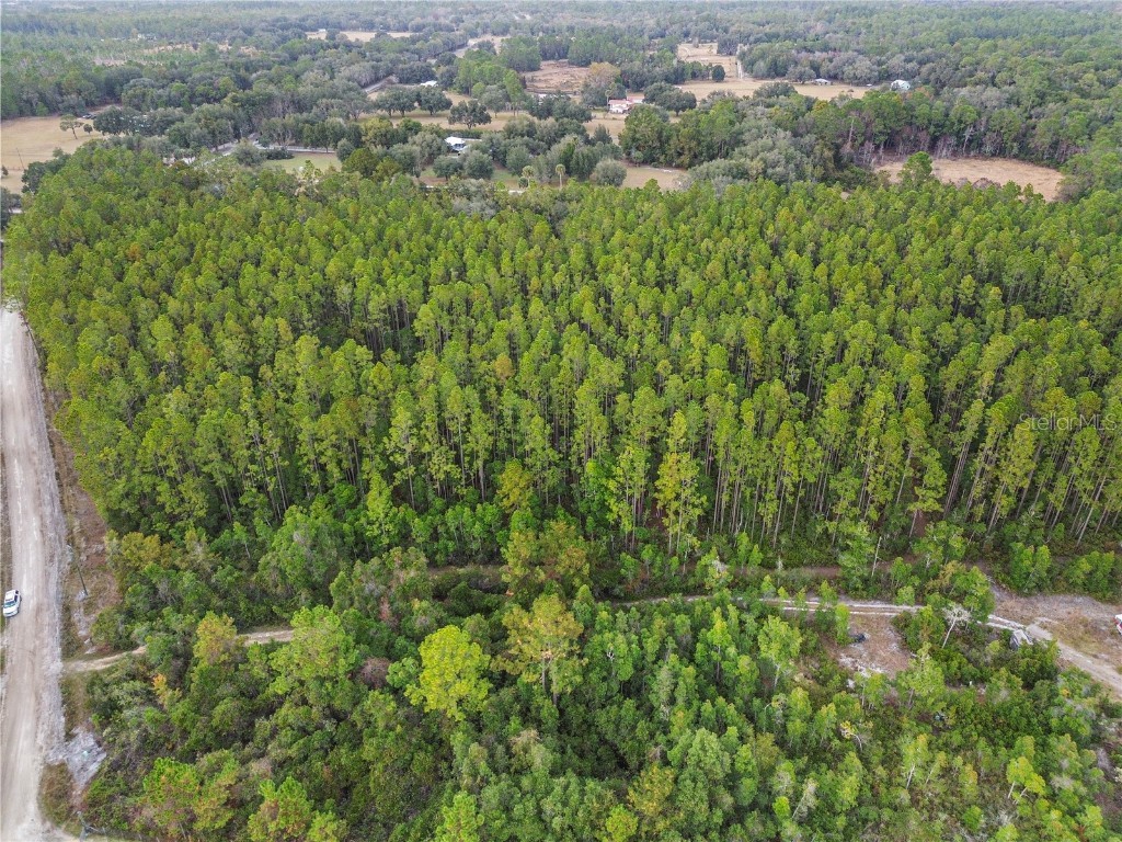 TBD NE 130th Court Rd Fort Mc Coy FL 32134 OM706449 image12
