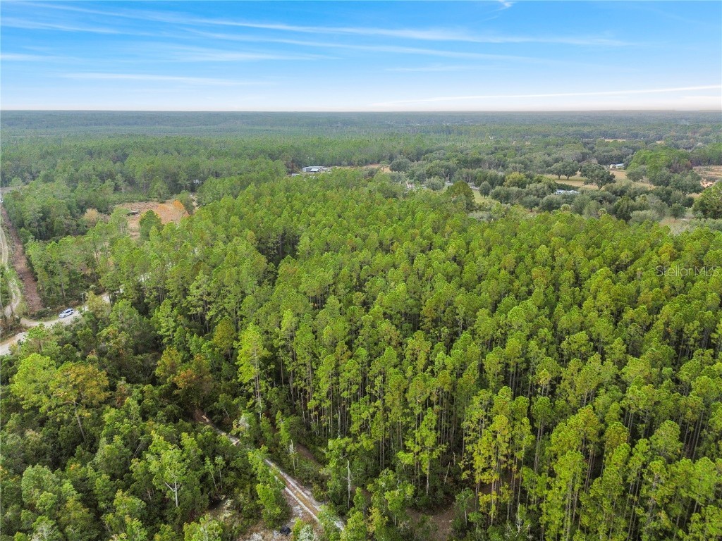 TBD NE 130th Court Rd Fort Mc Coy FL 32134 OM706449 image13