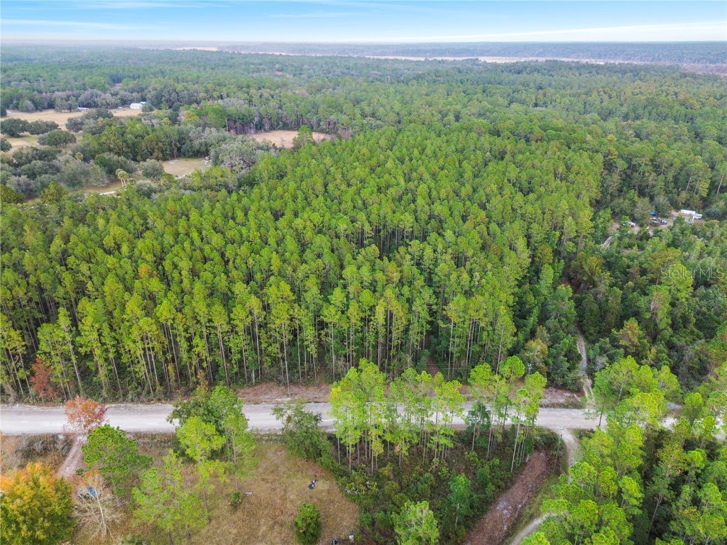 TBD NE 130th Court Rd Fort Mc Coy FL 32134 OM706449 image14