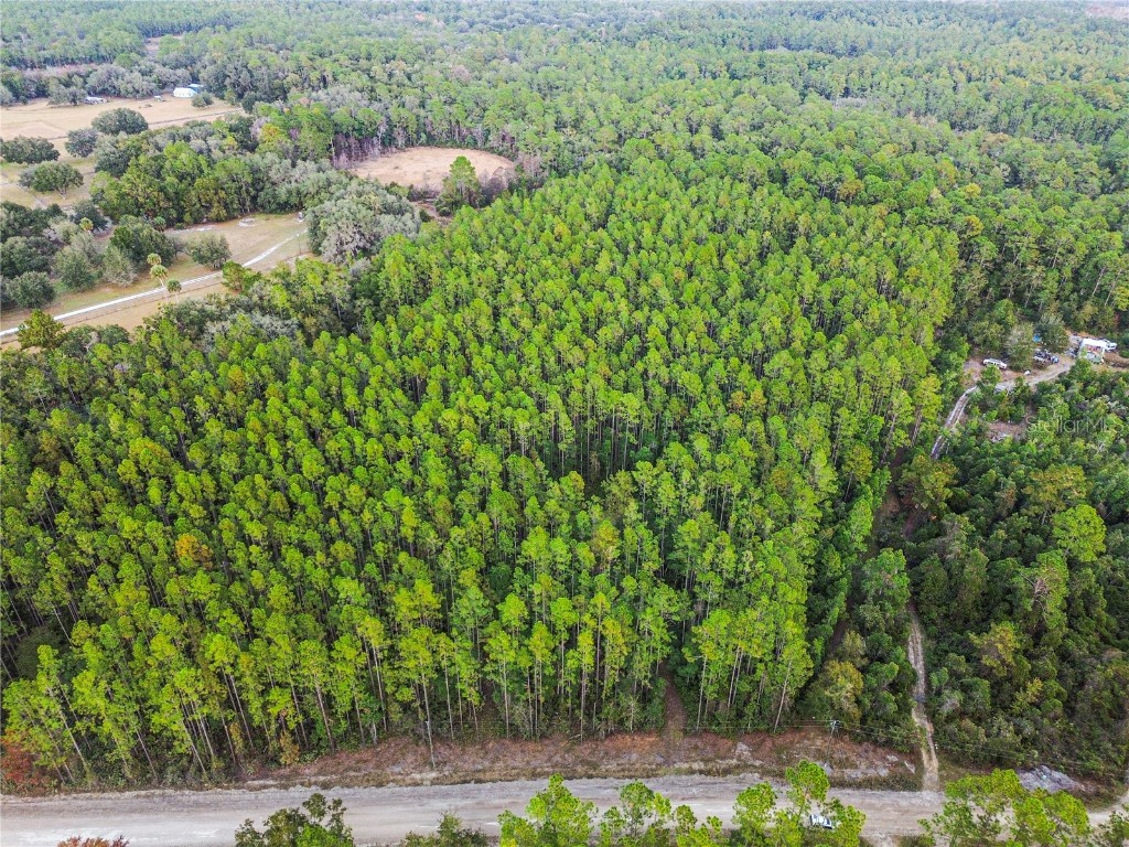 TBD NE 130th Court Rd Fort Mc Coy FL 32134 OM706449 image15