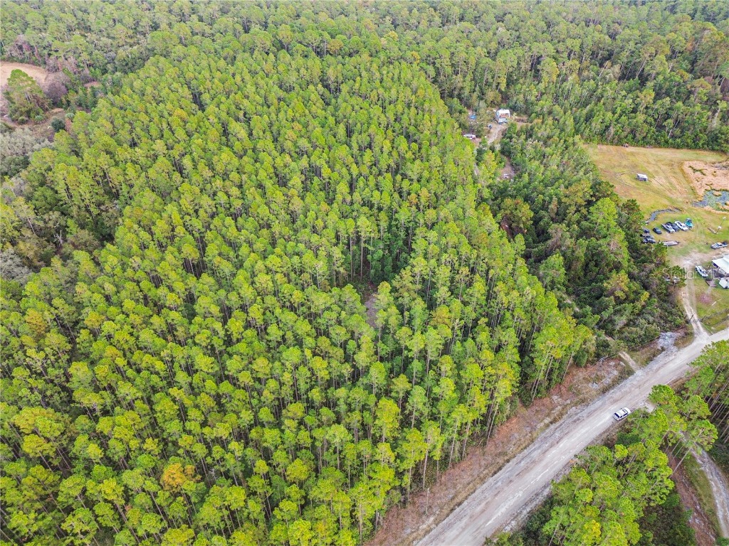 TBD NE 130th Court Rd Fort Mc Coy FL 32134 OM706449 image16