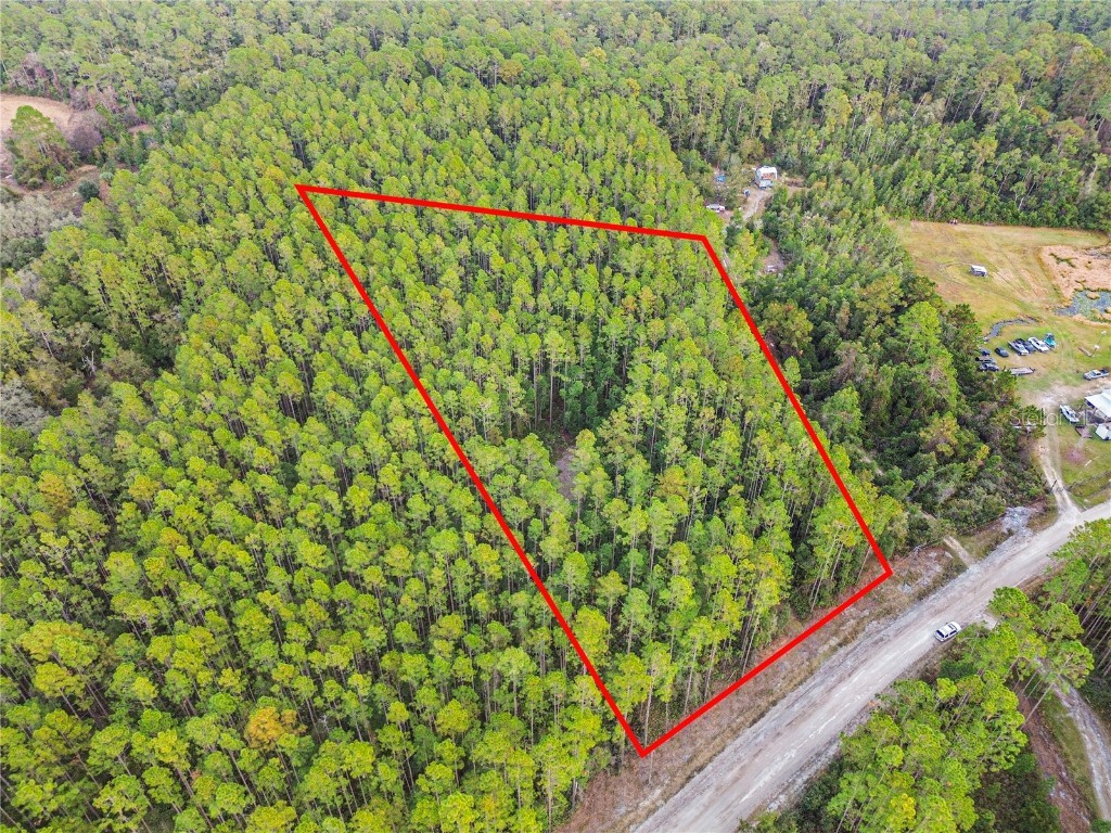 TBD NE 130th Court Rd Fort Mc Coy FL 32134 OM706449 image3