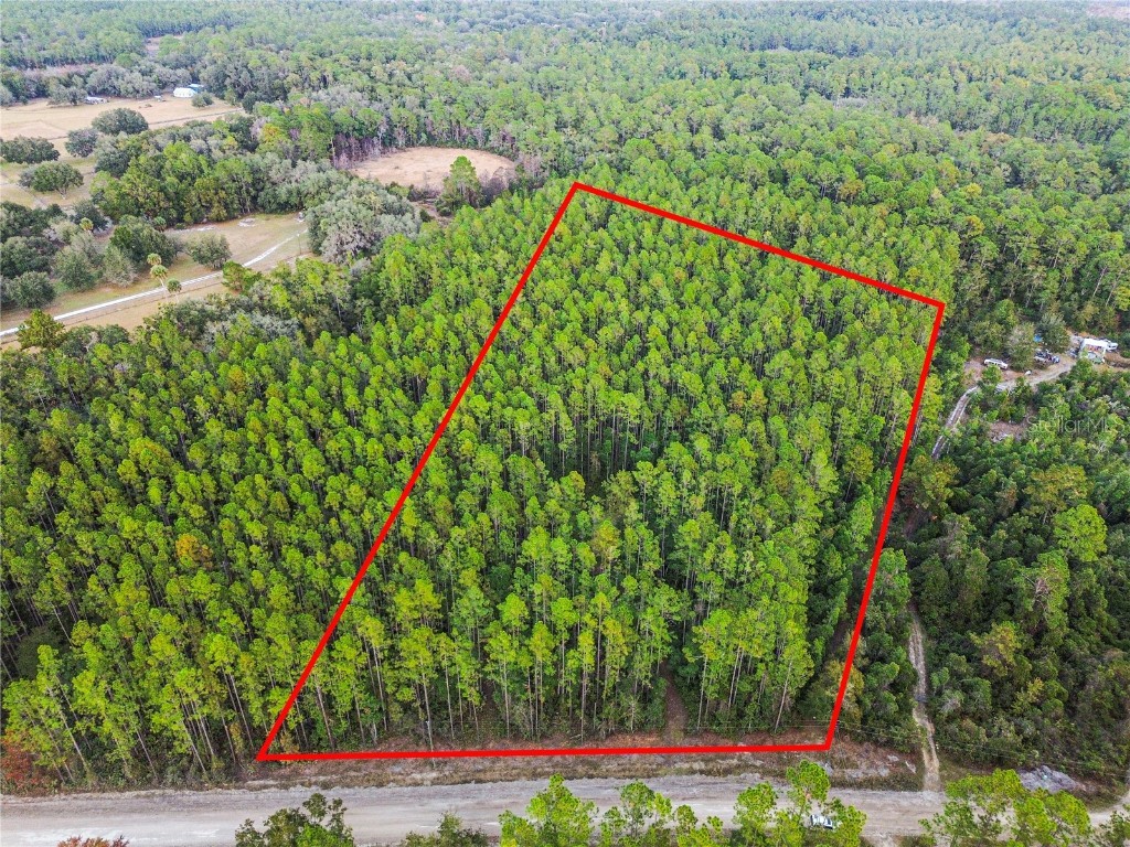 TBD NE 130th Court Rd Fort Mc Coy FL 32134 OM706449 image4