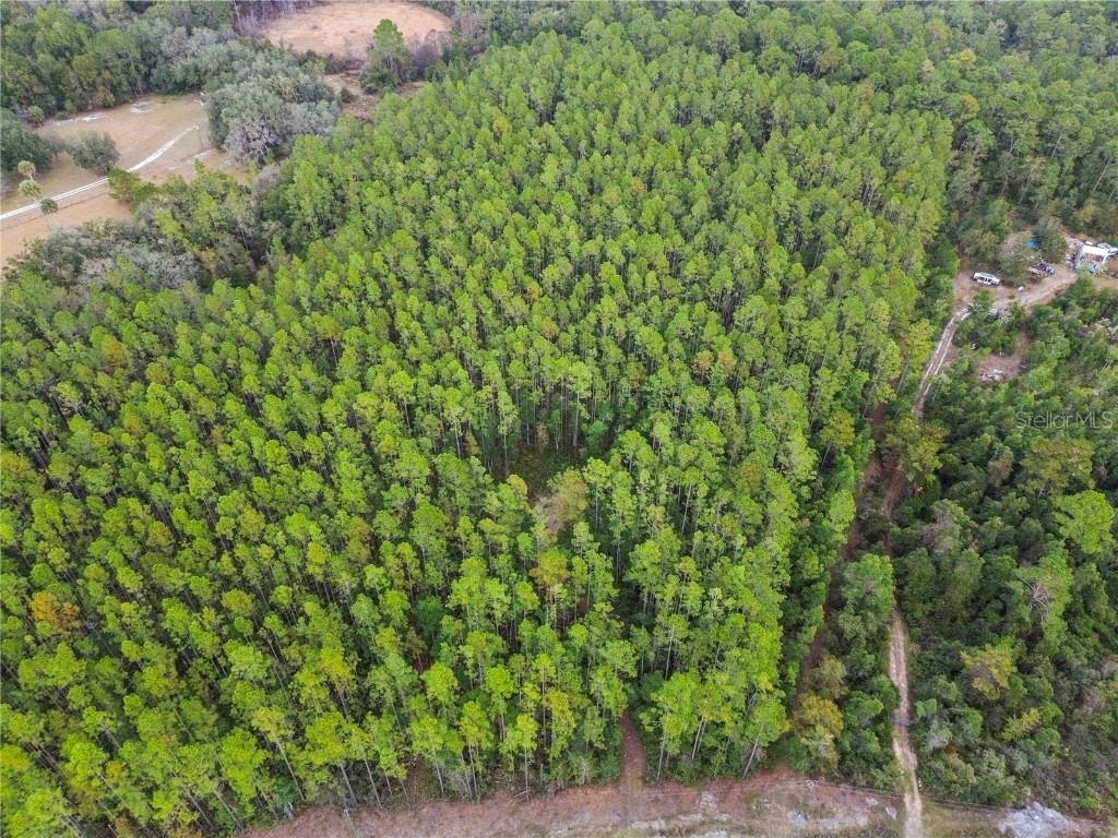 TBD NE 130th Court Rd Fort Mc Coy FL 32134 OM706449 image6