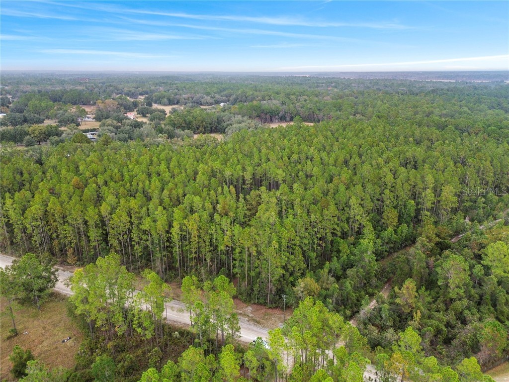 TBD NE 130th Court Rd Fort Mc Coy FL 32134 OM706449 image7