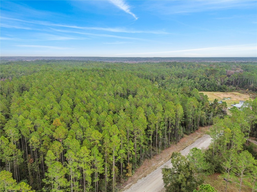 TBD NE 130th Court Rd Fort Mc Coy FL 32134 OM706449 image8