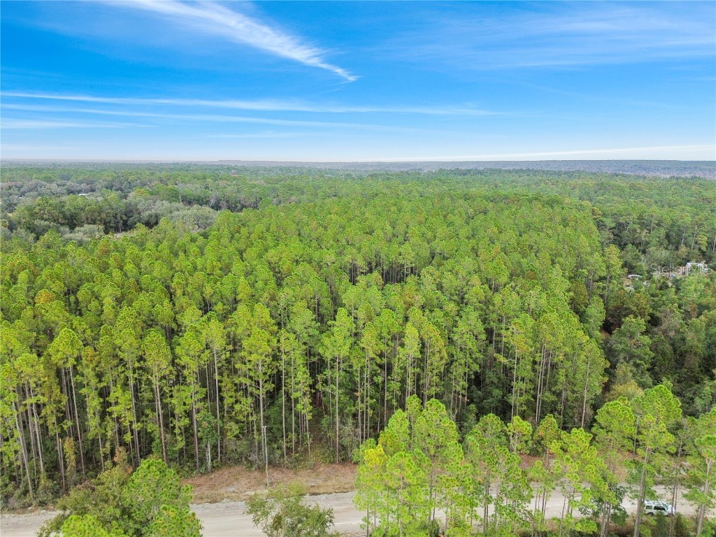 TBD NE 130th Court Rd Fort Mc Coy FL 32134 OM706449 image9