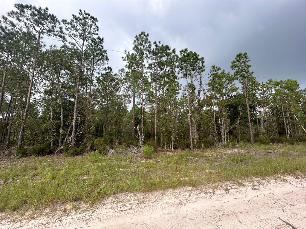 TBD NE 131st Court Williston FL 32696 OM684496 image1
