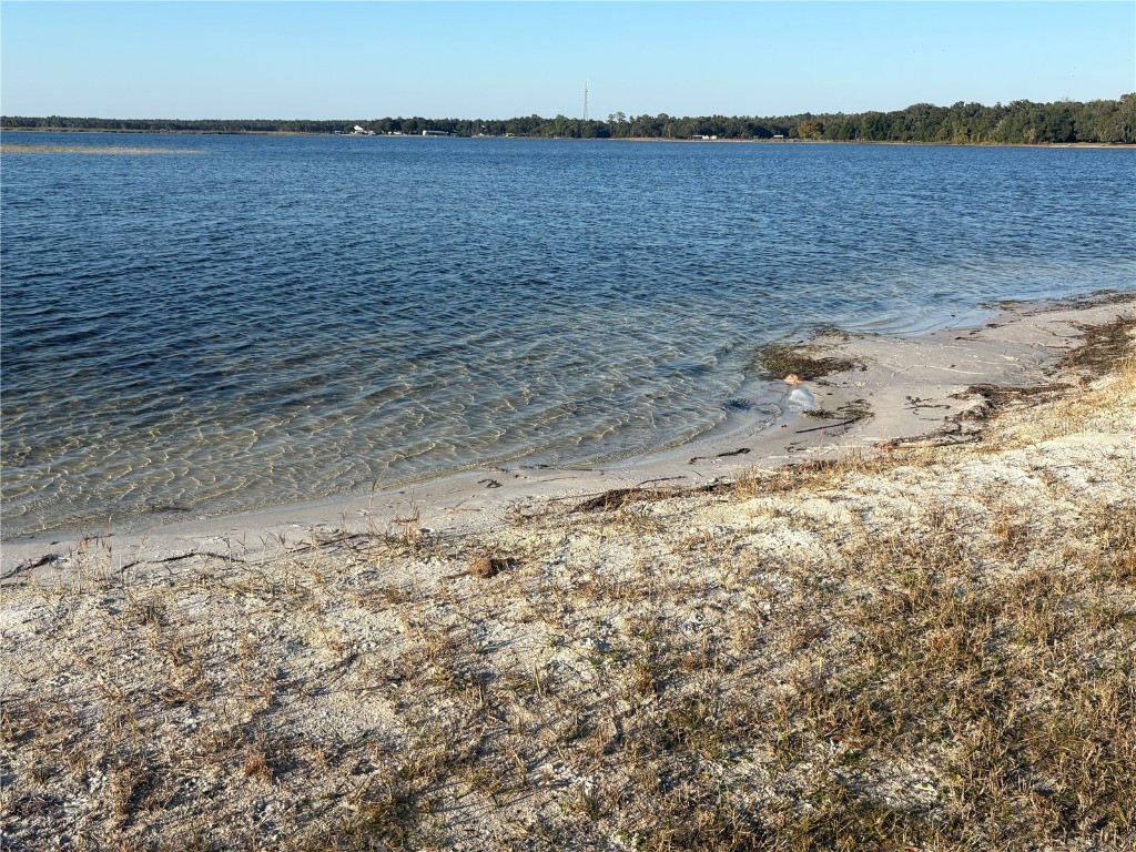 TBD NE 132nd St Salt Springs FL 32134 OM714001 image2