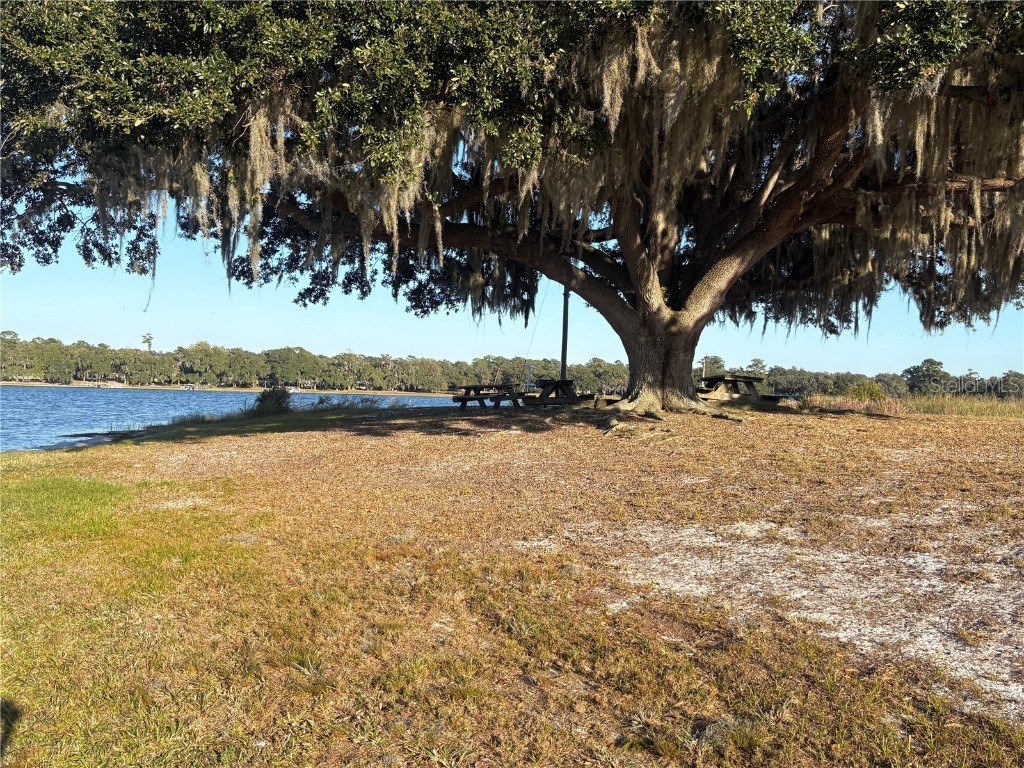 TBD NE 132nd St Salt Springs FL 32134 OM714001 image4