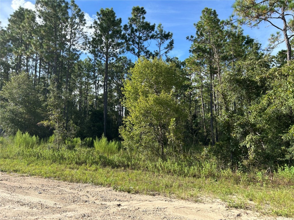 TBD NE 134th Court Williston FL 32696 OM707459 image2