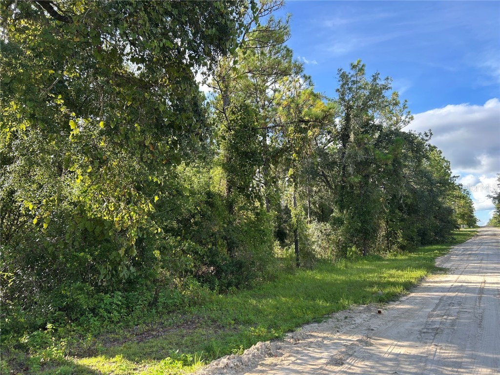 TBD NE 134th Court Williston FL 32696 OM707459 image3