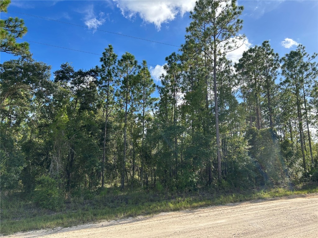 TBD NE 134th Court Williston FL 32696 OM707459 image4