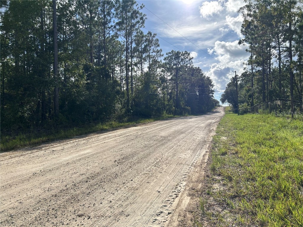 TBD NE 134th Court Williston FL 32696 OM707459 image5