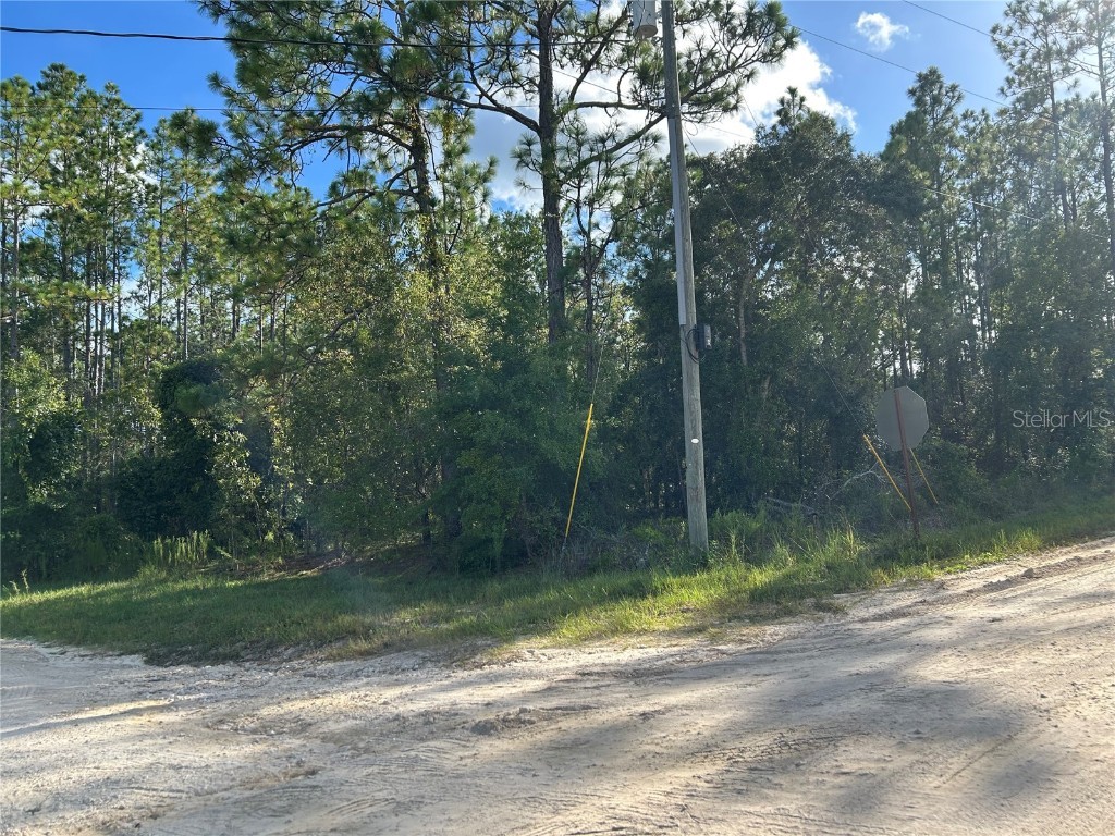 TBD NE 134th Court Williston FL 32696 OM707459 image6