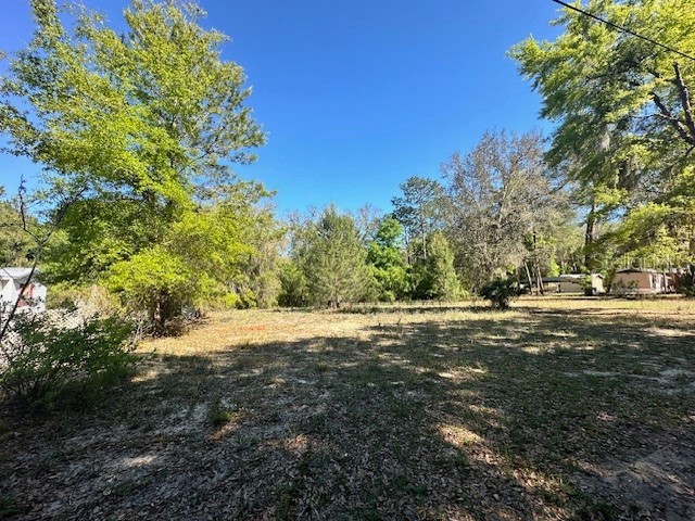 TBD NE 134th Terrace Silver Springs FL 34488 OM675146 image1
