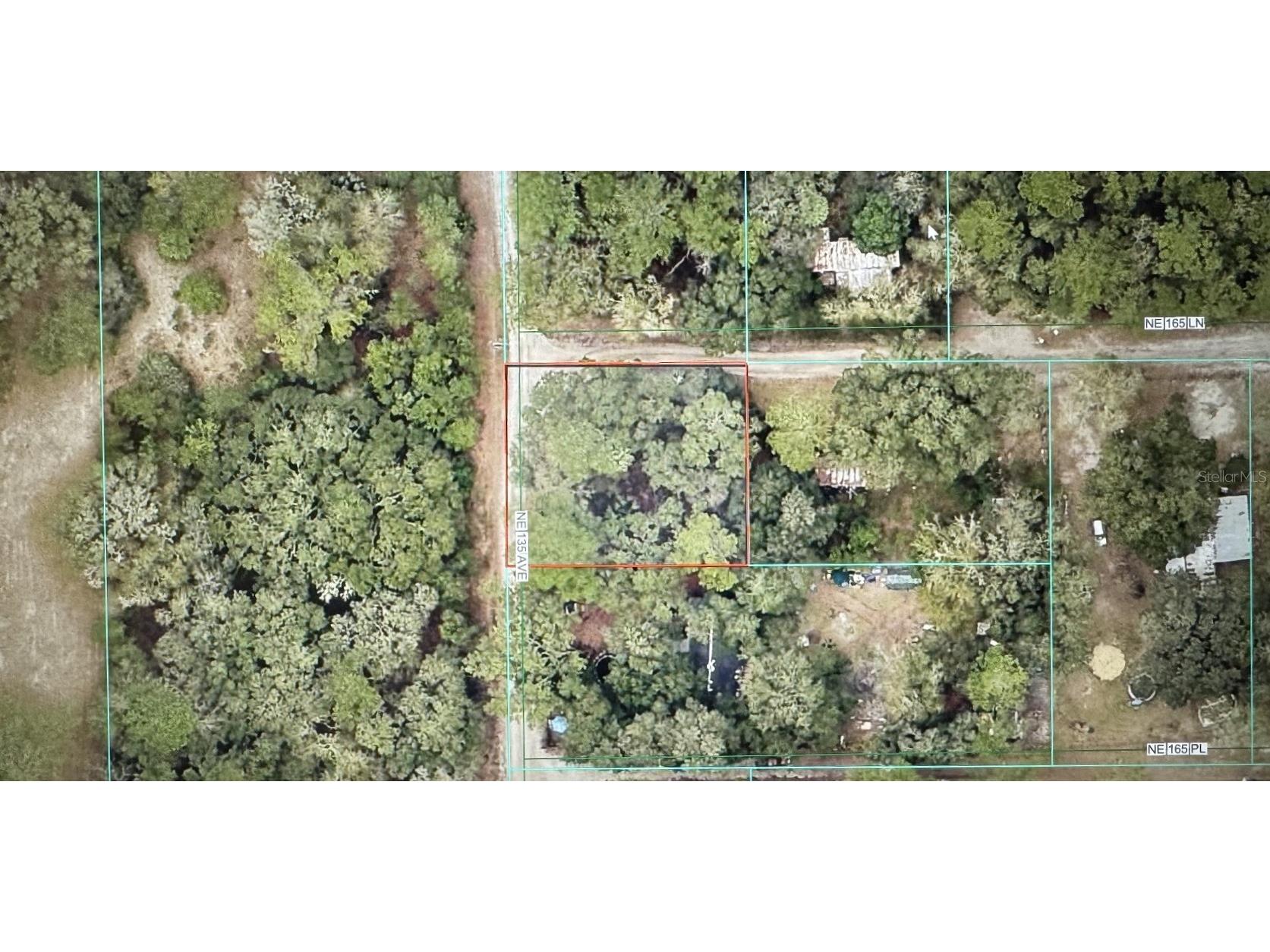 TBD NE 135 Avenue Fort Mc Coy FL 32134 OM718888 image2