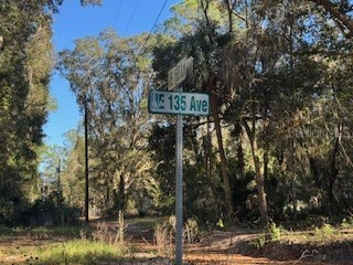 TBD NE 135 Avenue Fort Mc Coy FL 32134 OM718888 image5