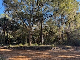 TBD NE 135 Avenue Fort Mc Coy FL 32134 OM718888 image6