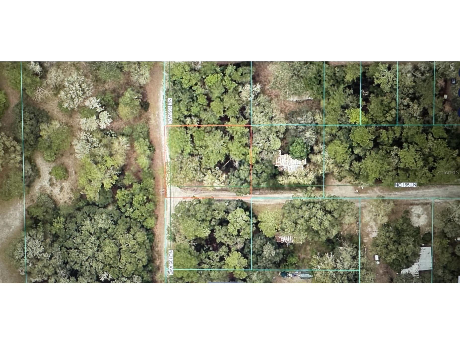 TBD NE 135 Avenue Fort Mc Coy FL 32134 OM718890 image2