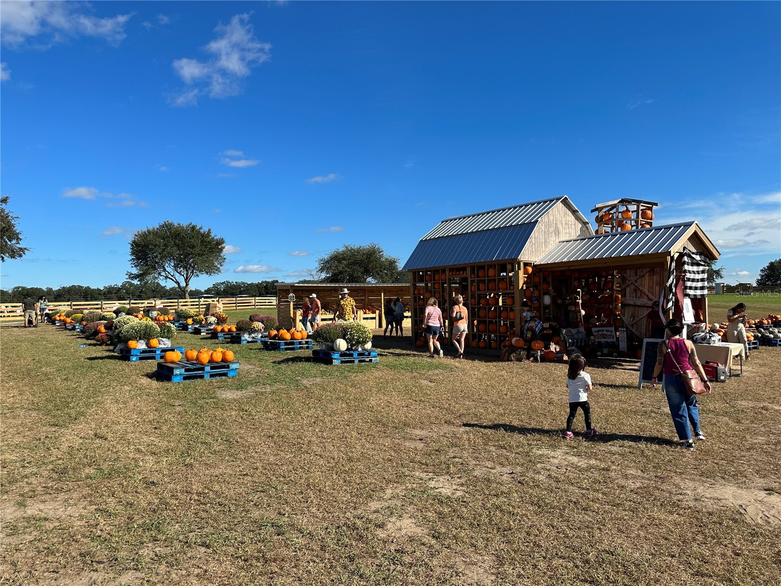 TBD NE 137 Court Fort Mc Coy FL 32134 TB8419954 image10