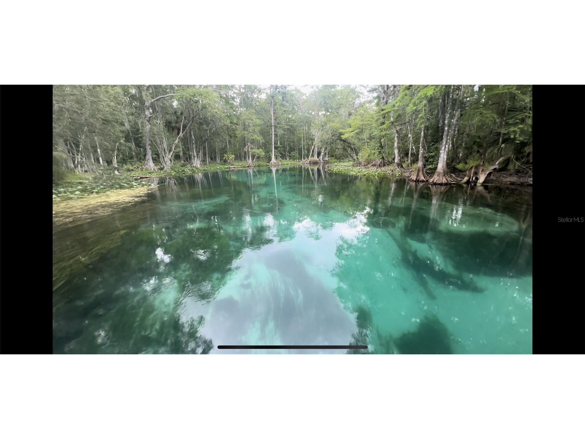 TBD NE 137 Court Fort Mc Coy FL 32134 TB8419954 image12