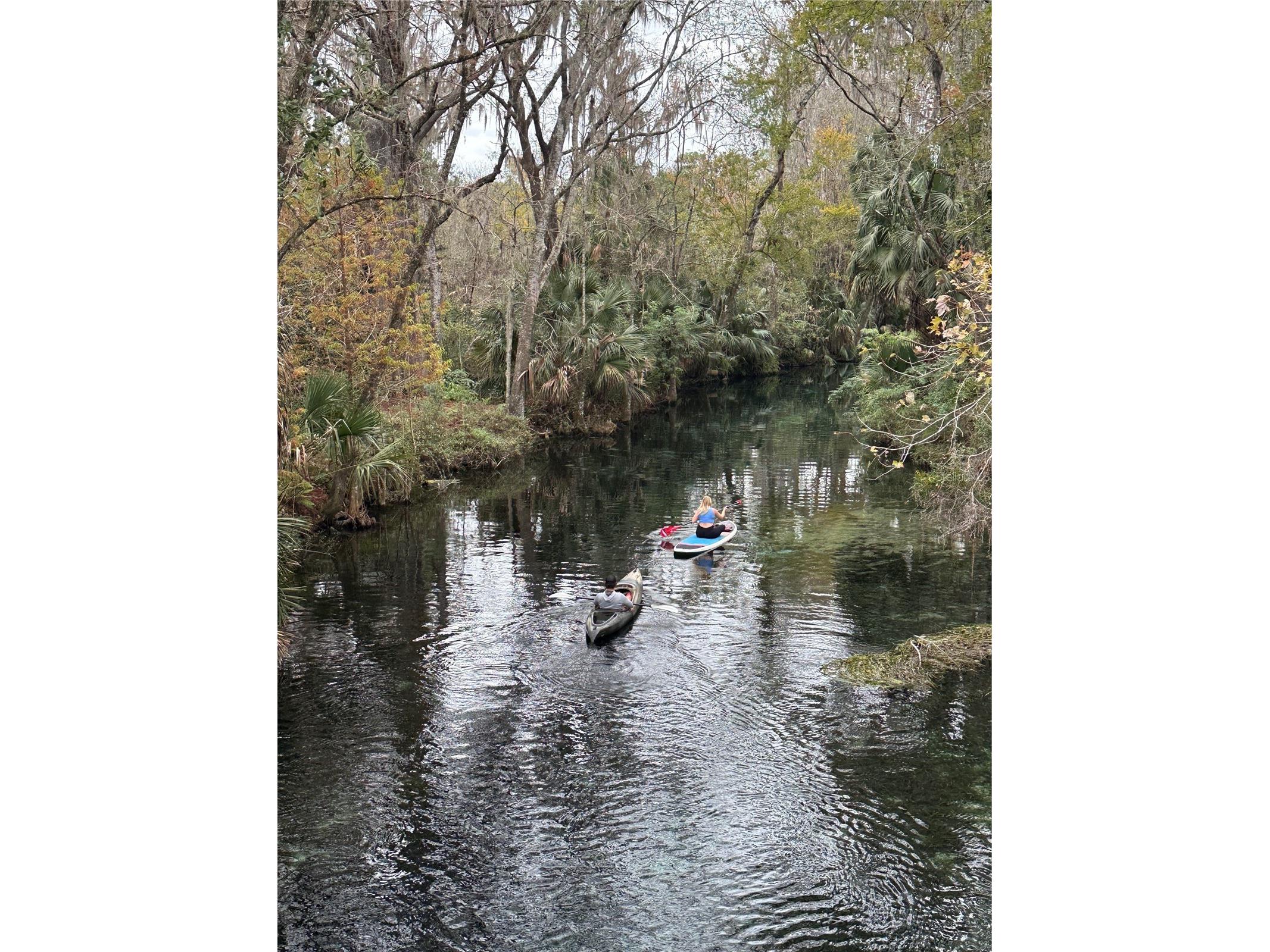 TBD NE 137 Court Fort Mc Coy FL 32134 TB8419954 image13