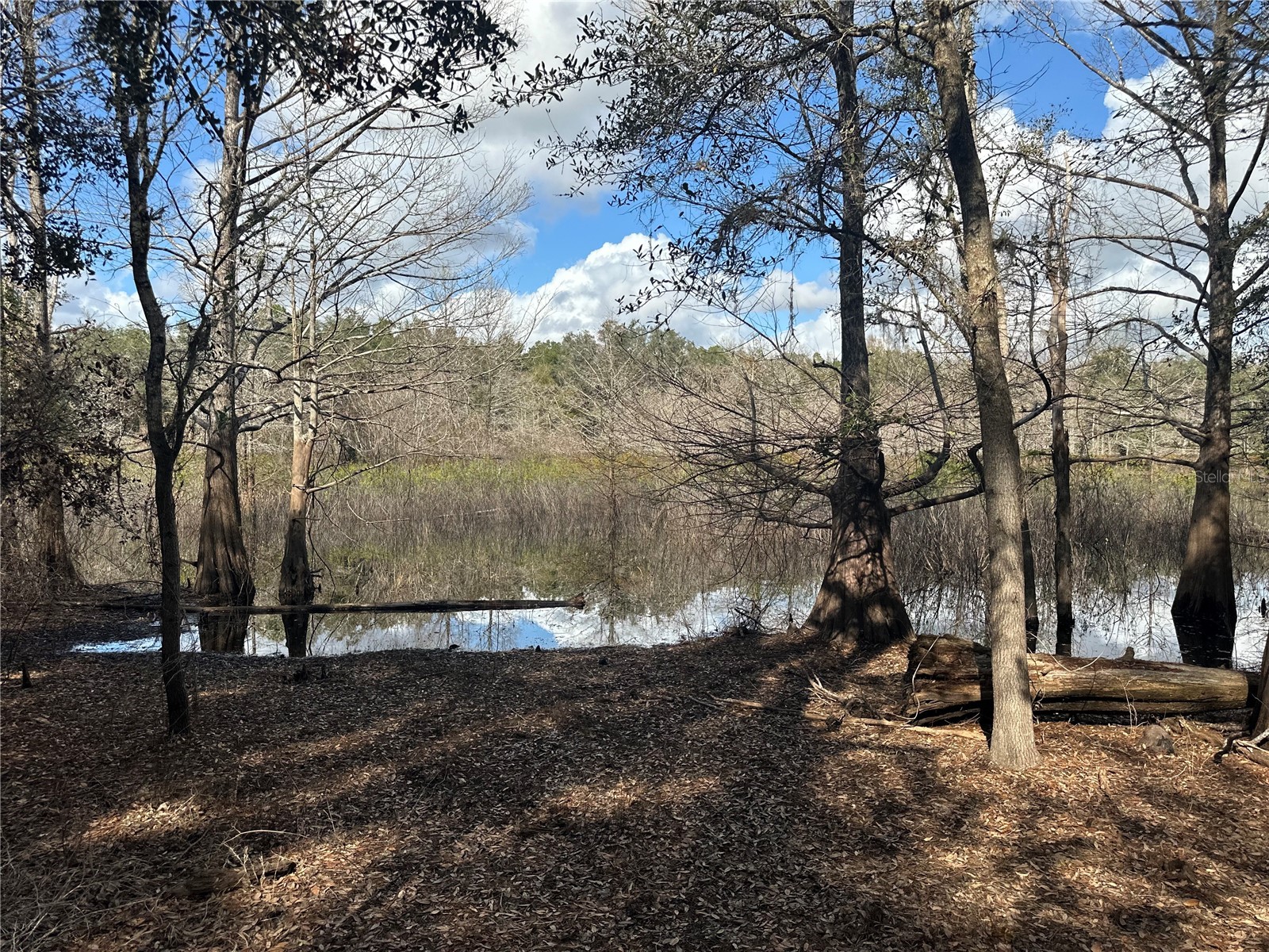 TBD NE 137 Court Fort Mc Coy FL 32134 TB8419954 image14