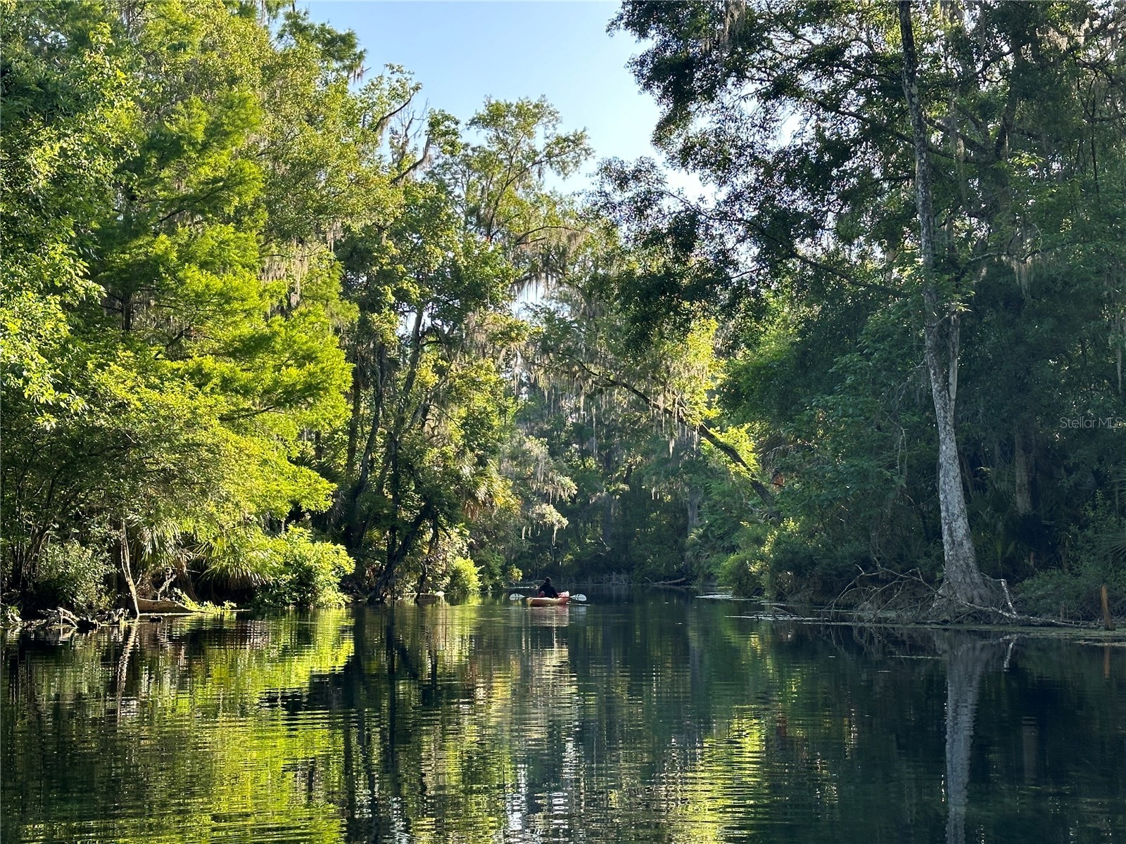 TBD NE 137 Court Fort Mc Coy FL 32134 TB8419954 image16