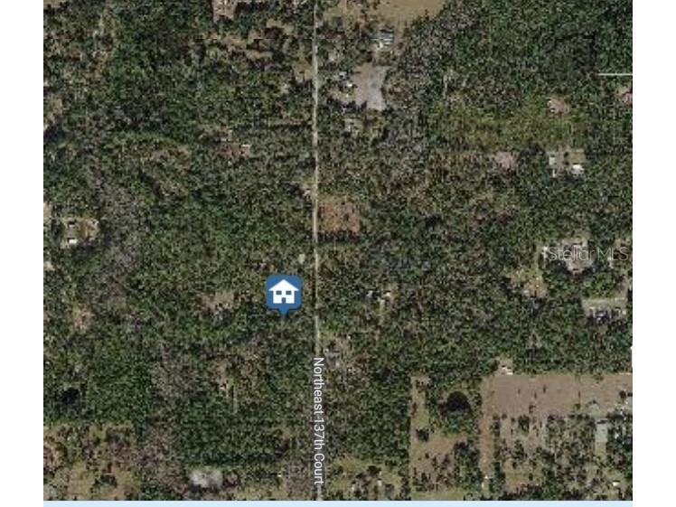 TBD NE 137 Court Fort Mc Coy FL 32134 TB8419954 image3