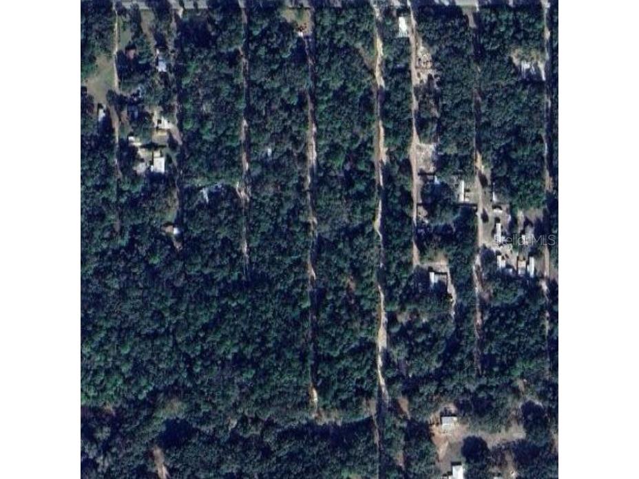 TBD NE 137 Court Fort Mc Coy FL 32134 TB8419954 image4