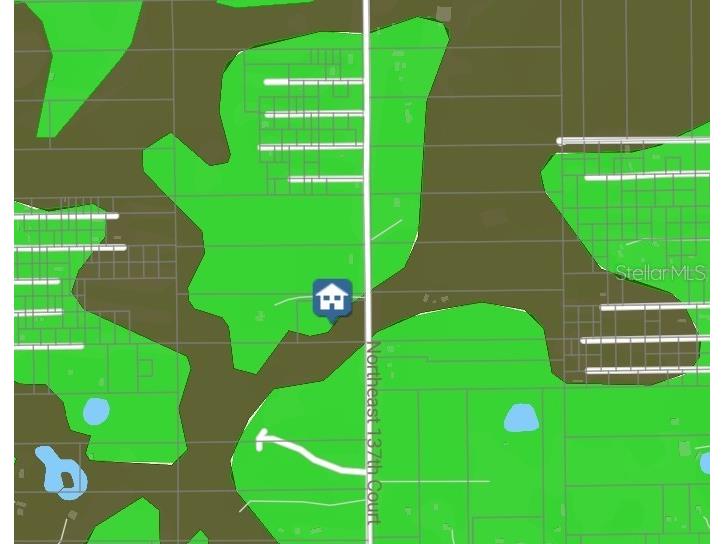 TBD NE 137 Court Fort Mc Coy FL 32134 TB8419954 image6