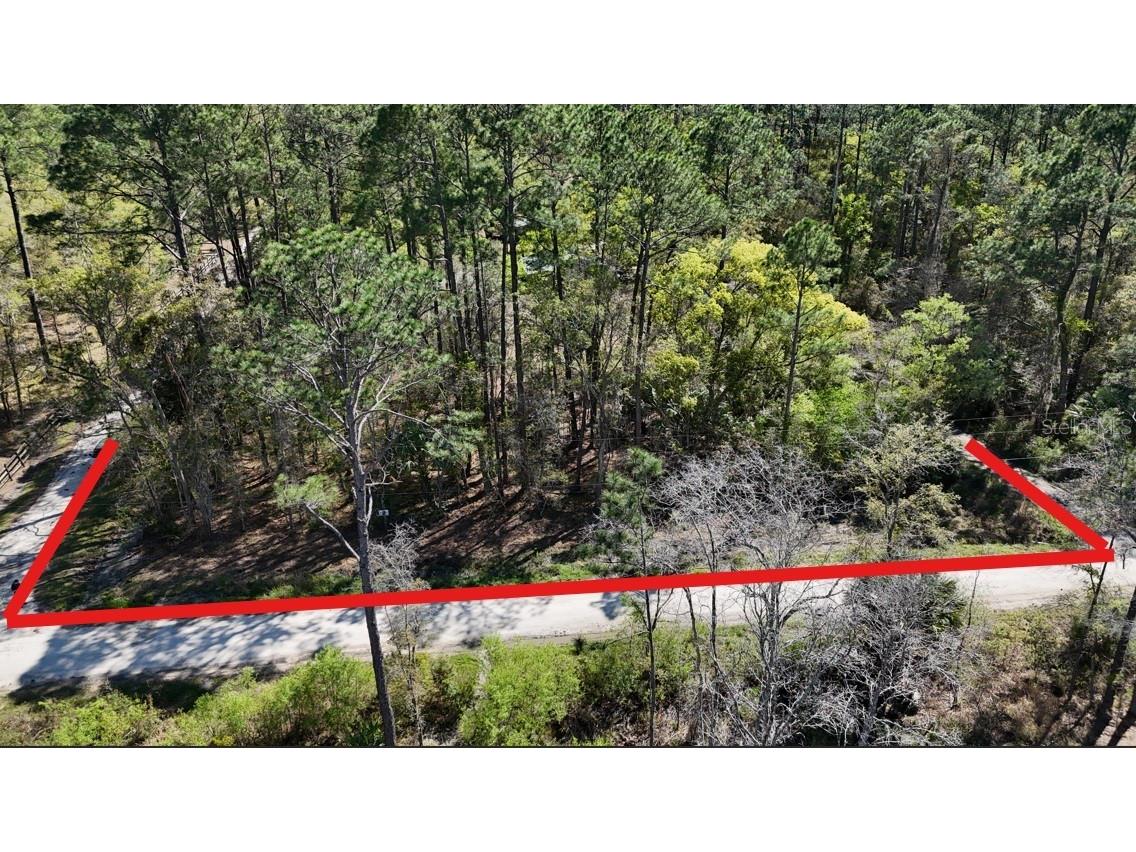 TBD NE 137th Place Citra FL 32113 OM720659 image1