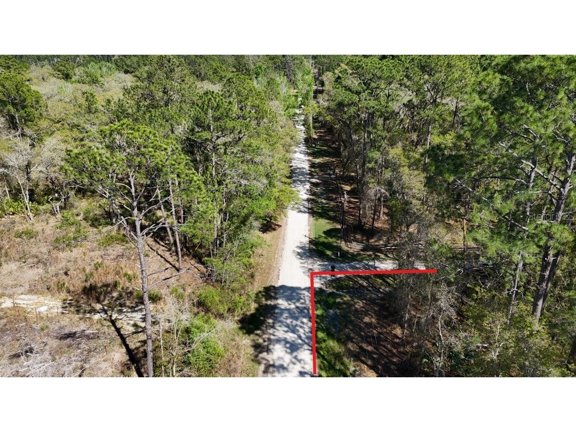 TBD NE 137th Place Citra FL 32113 OM720659 image11