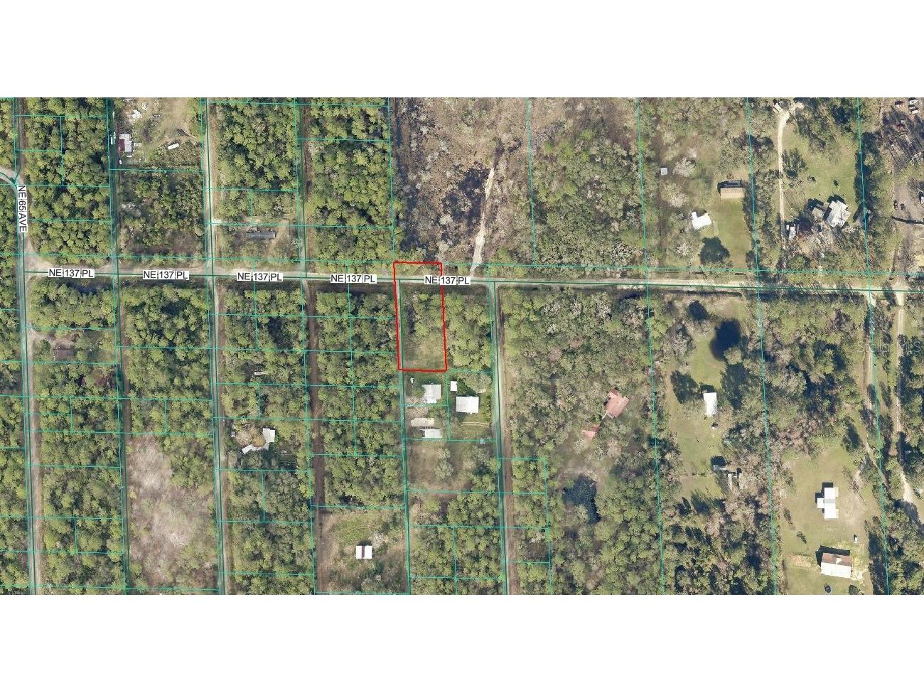 TBD NE 137th Place Citra FL 32113 OM720659 image2