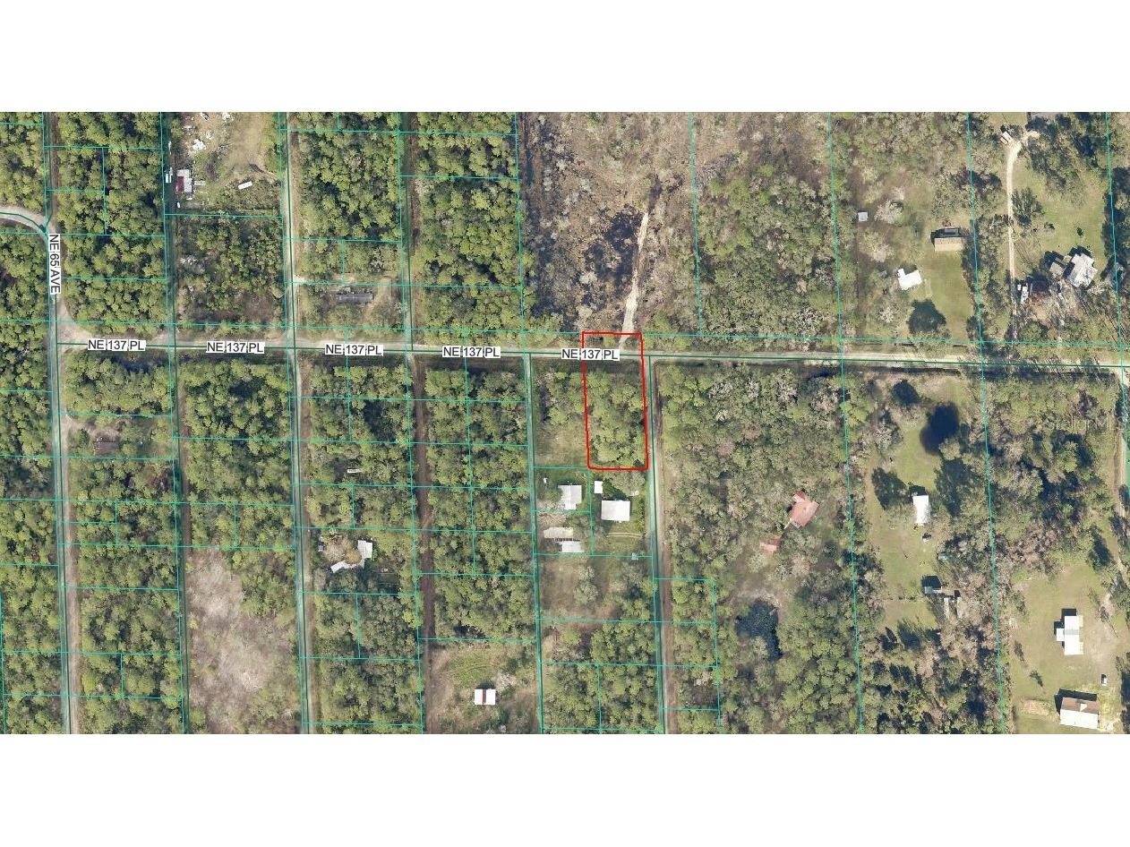 TBD NE 137th Place Citra FL 32113 OM720659 image4