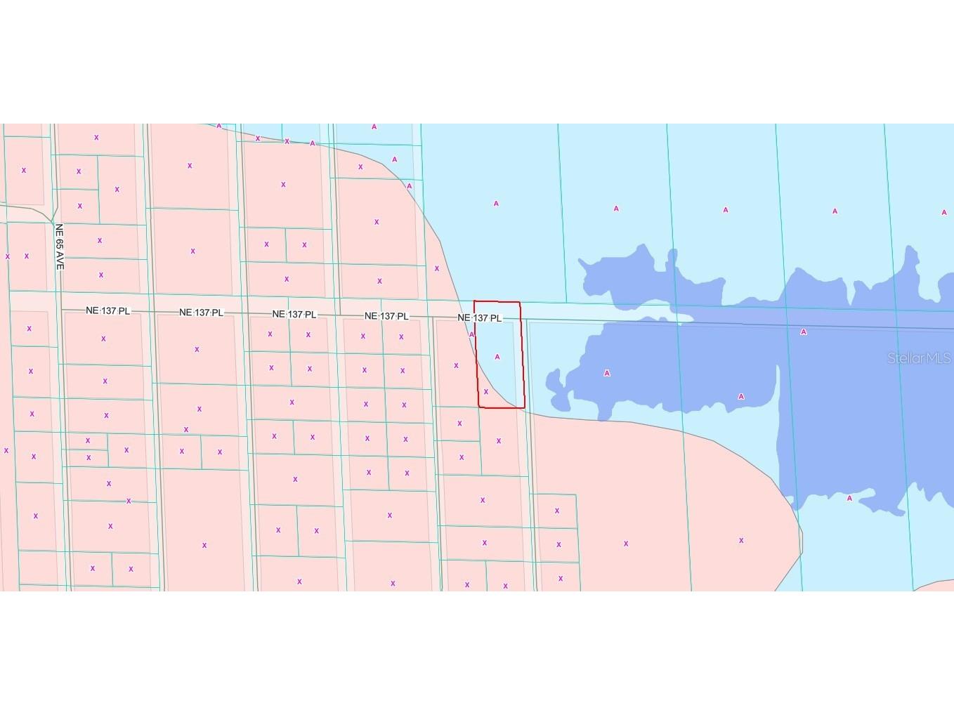 TBD NE 137th Place Citra FL 32113 OM720659 image5