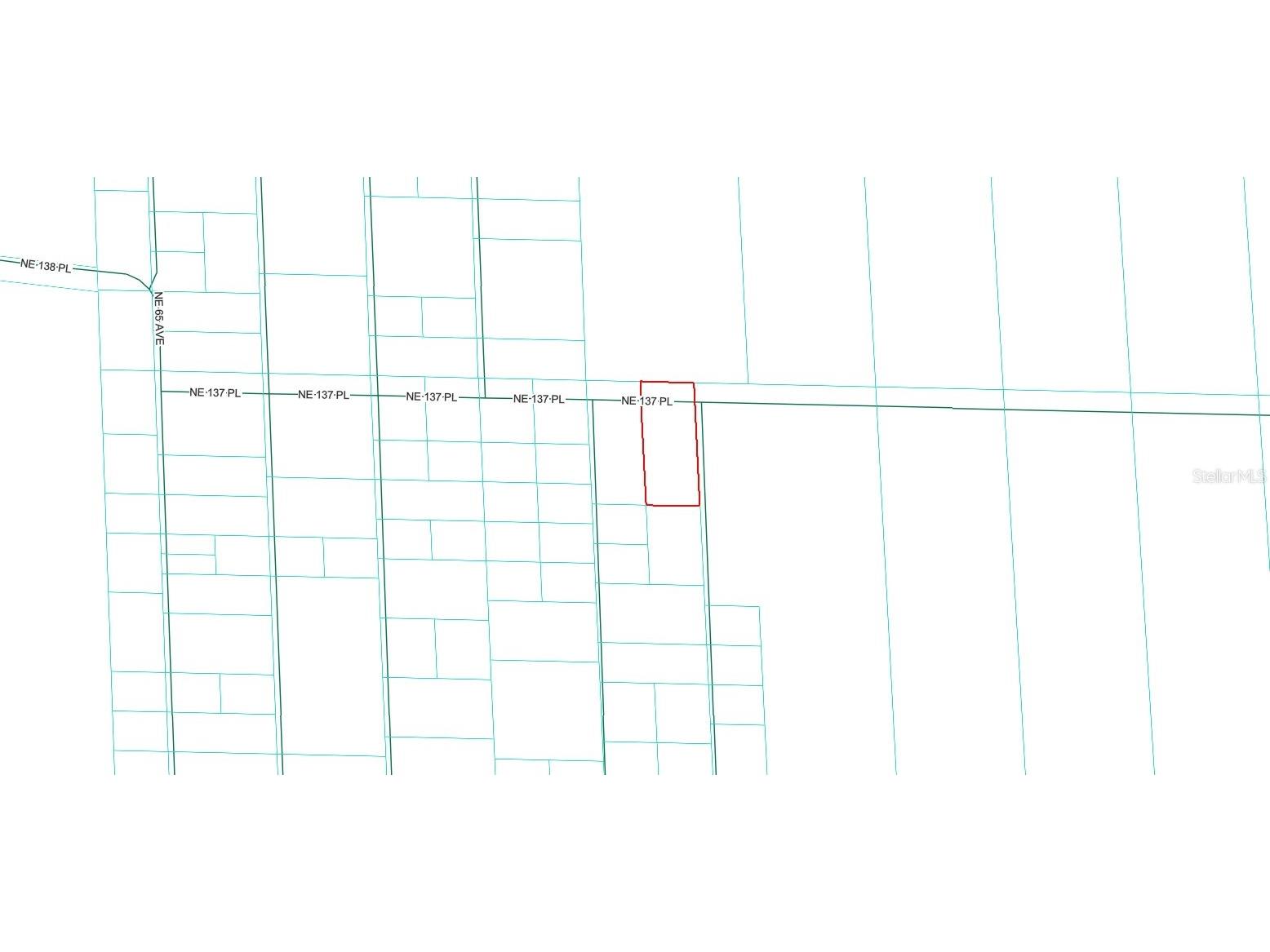 TBD NE 137th Place Citra FL 32113 OM720659 image6