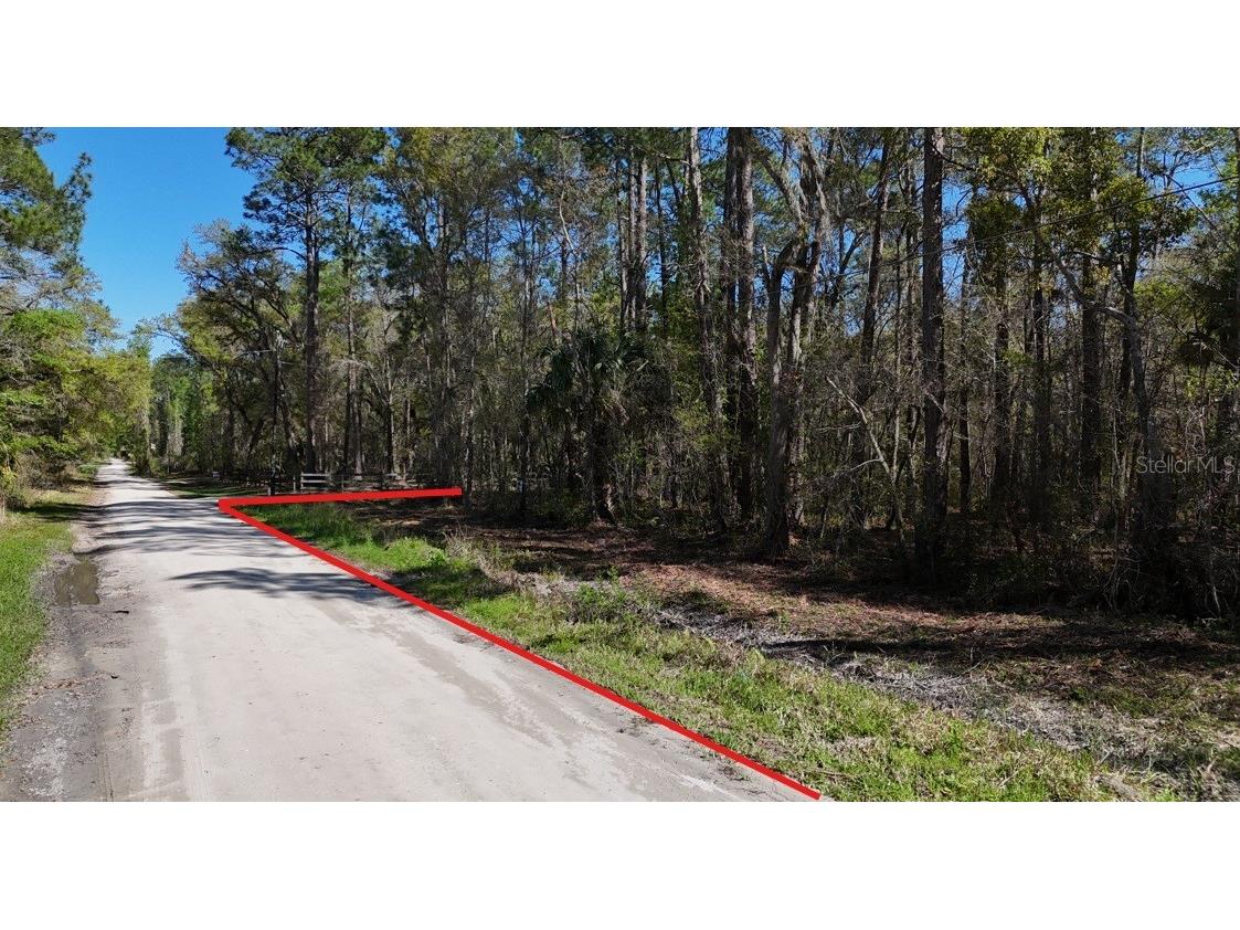 TBD NE 137th Place Citra FL 32113 OM720659 image8