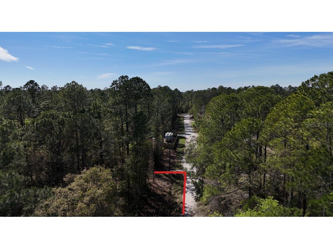 TBD NE 137th Place Citra FL 32113 OM720659 image9