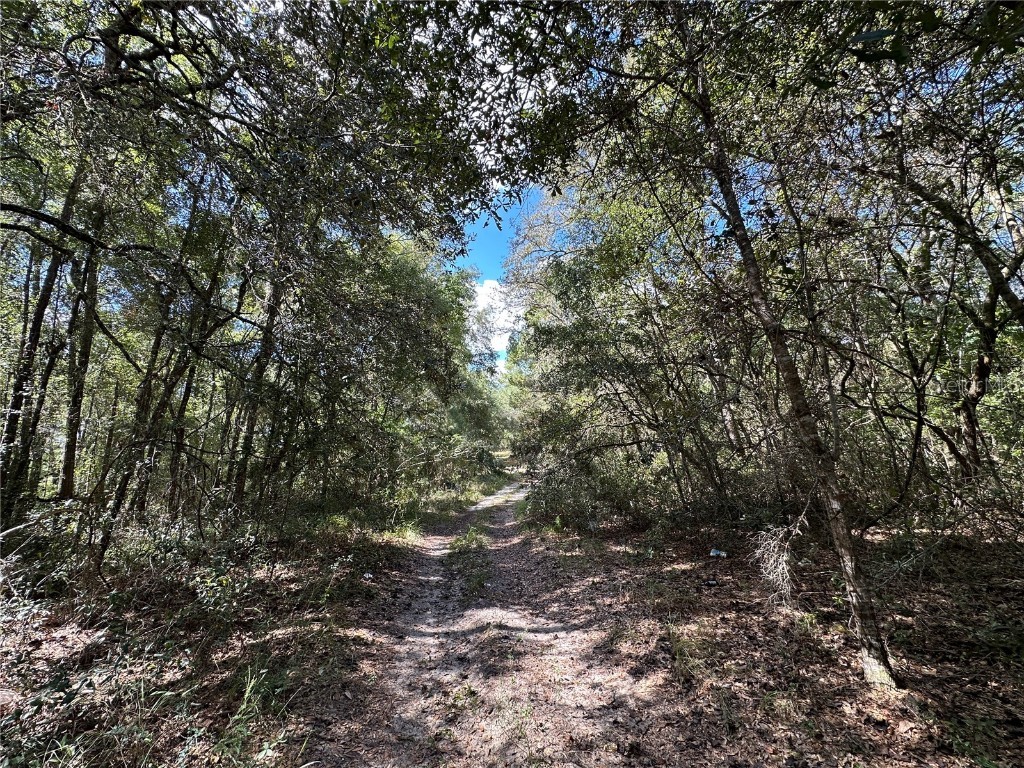 TBD NE 138th Avenue Williston FL 32696 OM711549 image10