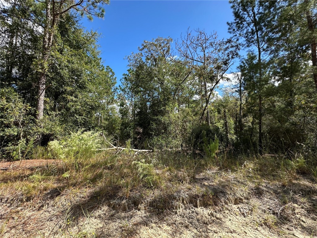 TBD NE 138th Avenue Williston FL 32696 OM711549 image3
