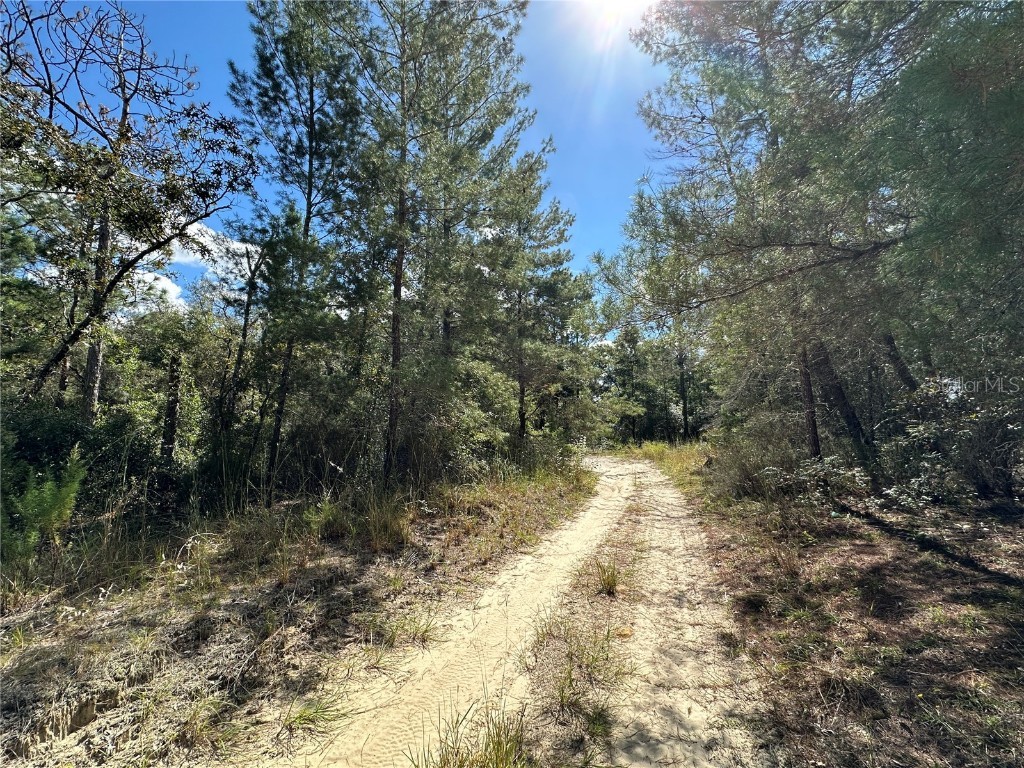 TBD NE 138th Avenue Williston FL 32696 OM711549 image4