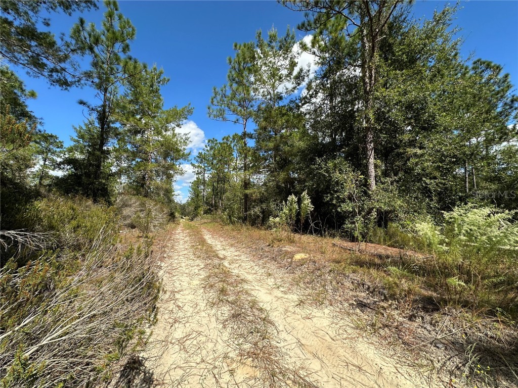 TBD NE 138th Avenue Williston FL 32696 OM711549 image5