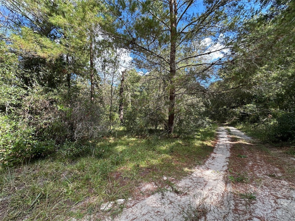 TBD NE 138th Avenue Williston FL 32696 OM711549 image7