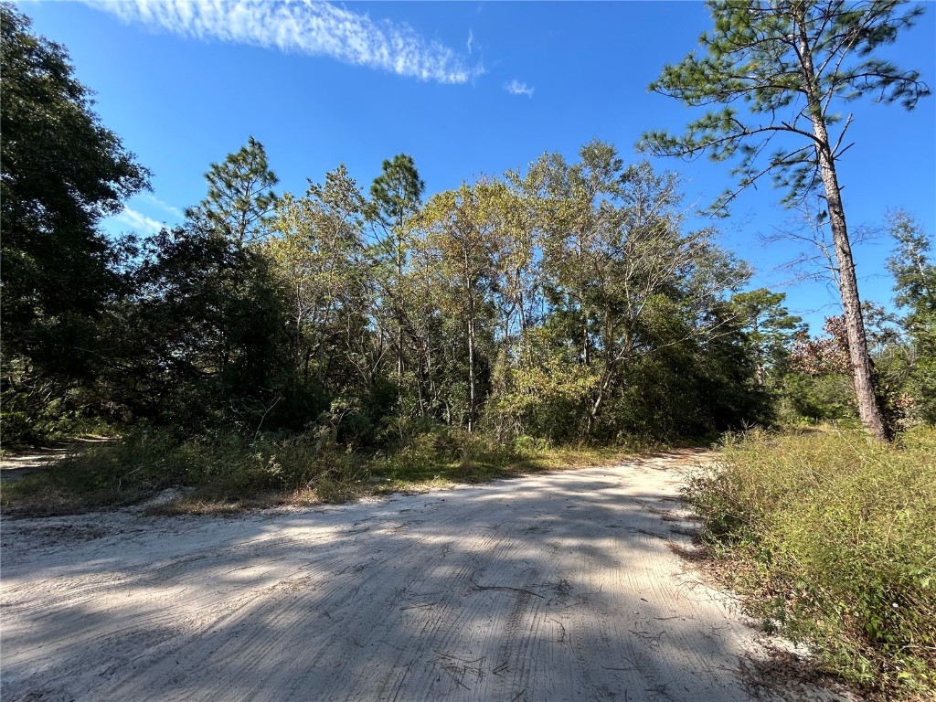 TBD NE 138th Terr Williston FL 32696 OM688341 image5