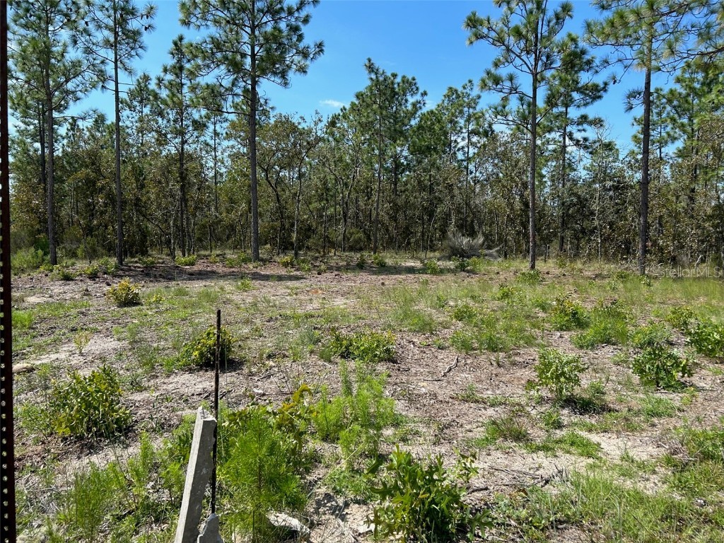 TBD NE 13th Lane Williston FL 32696 OM661751 image1