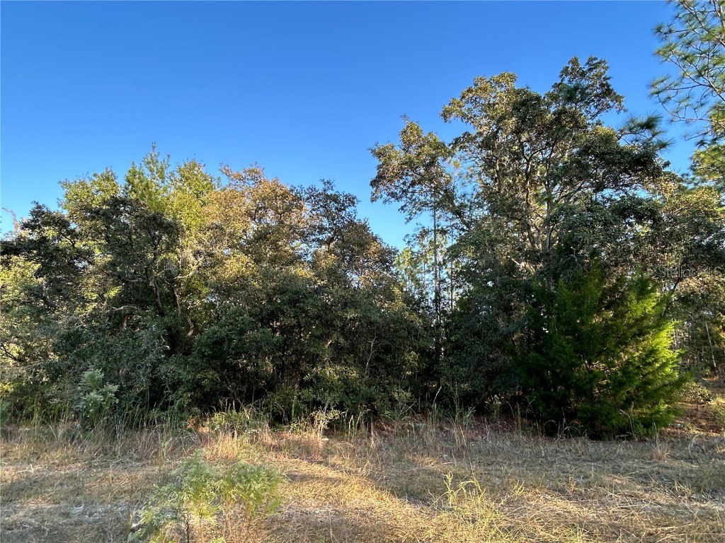 TBD NE 148 Terrace Williston FL 32696 OM711968 image4