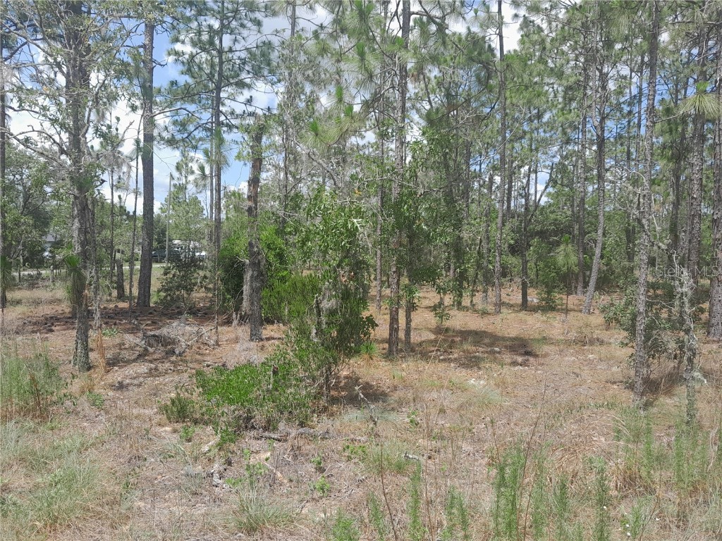 TBD NE 149th Court Williston FL 32696 OM703420 image3