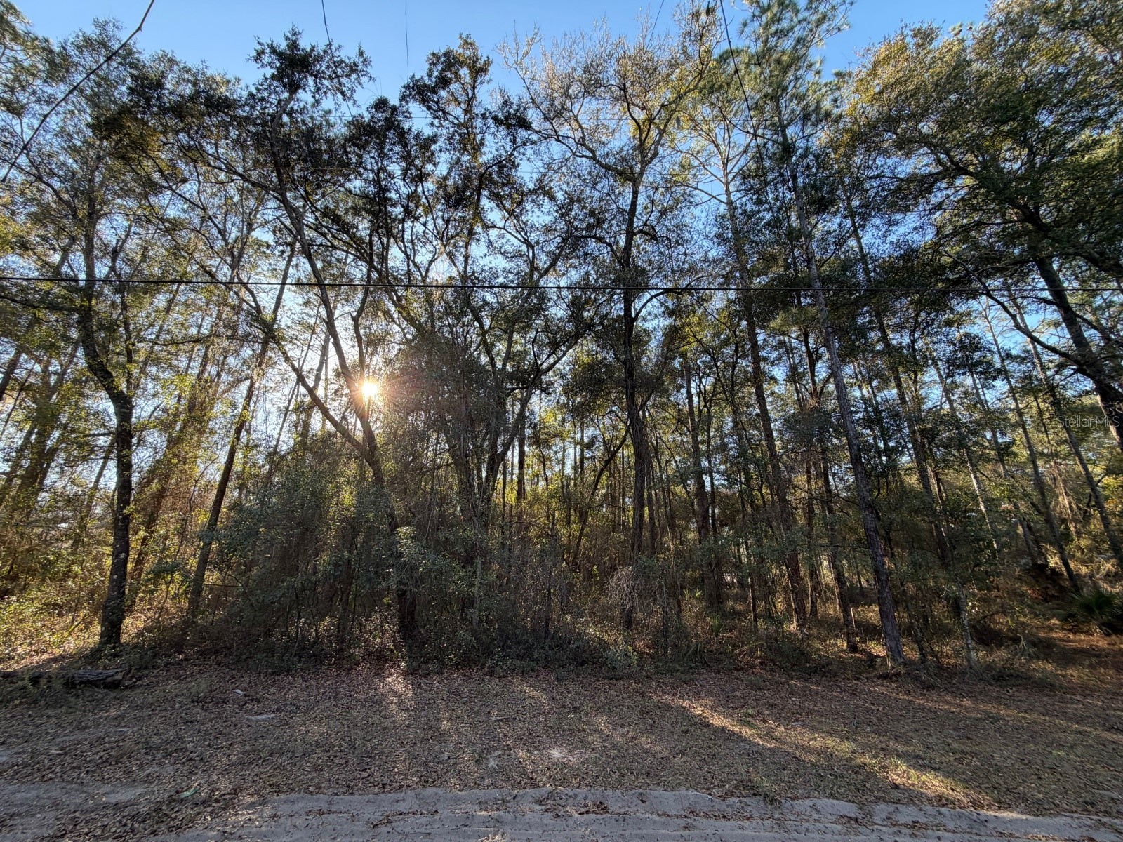 TBD NE 150 Avenue Fort Mc Coy FL 32134 OM719439 image1